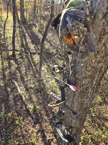 Matt Huevel - Fogg Filler