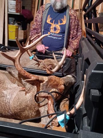 Roger - Custom Design Components